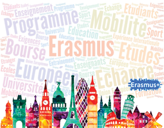 Mobilité Erasmus+ : Federico II University of Naples, Italy