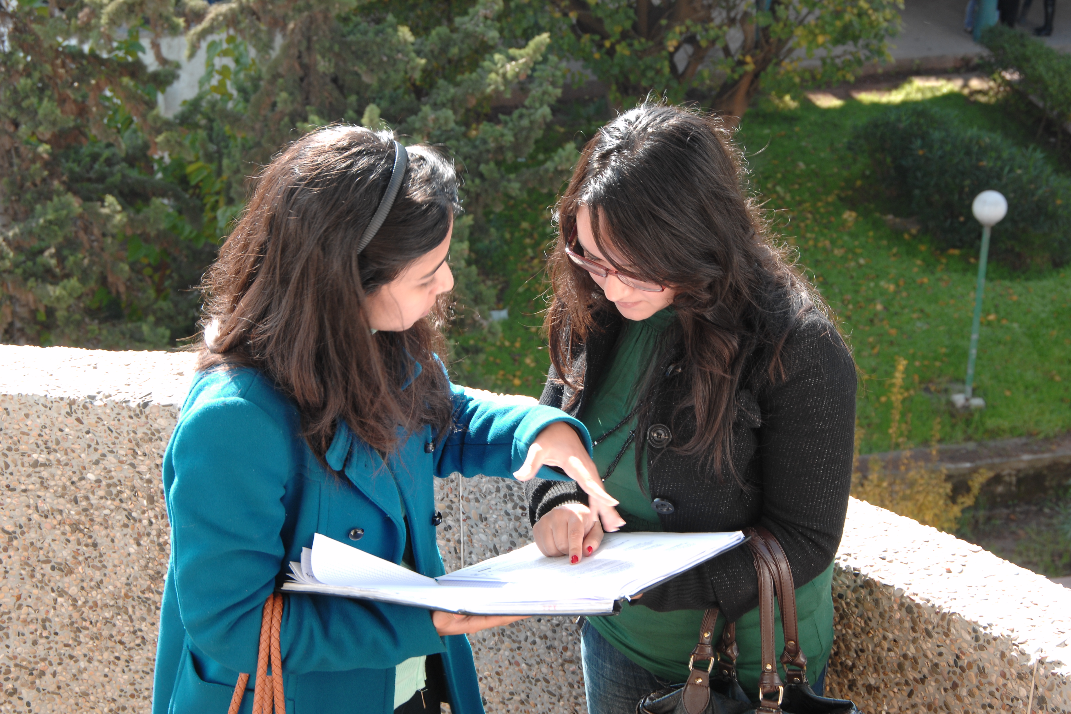about university about university