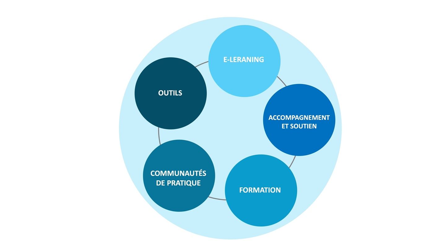 ACTIVITES DU CIP